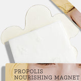 Propolis Nourishing Magnet Sheet Mask