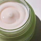 Phyto Plump Collagen Night Cream