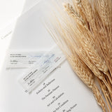 Multi-Action Ultra Repair Serum - Korean-Skincare