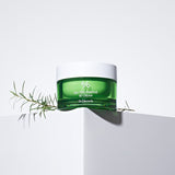 Tea Tree Purifine 80 Cream