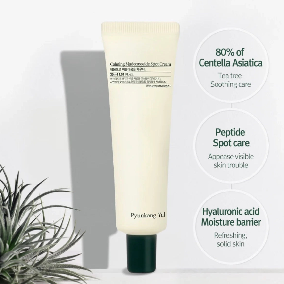 Pyunkang Yul - Calming Madecasoside ...